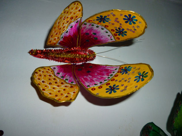 mariposas