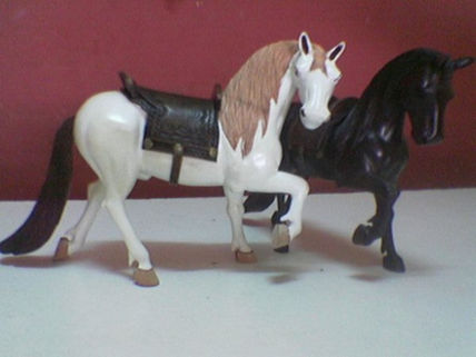 Caballos de paso en...