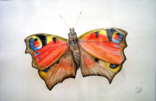 Mariposa Otros