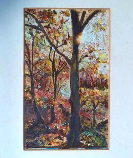 Bosque encantado