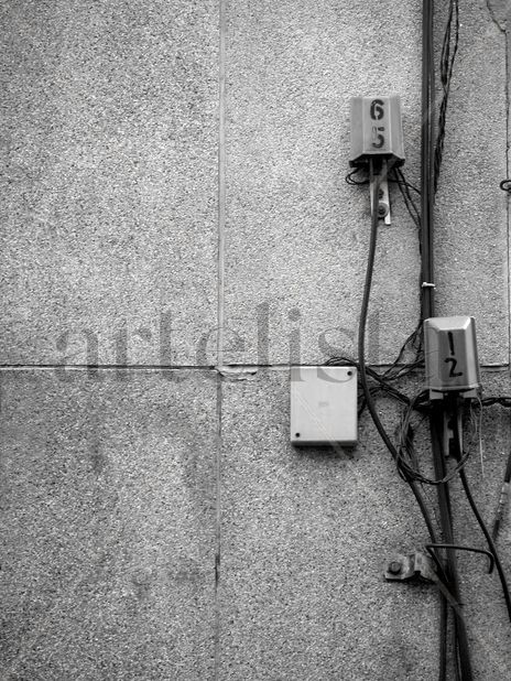 Muro