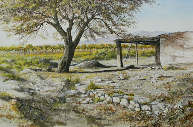 tiempo compartido Acrylic Canvas Landscaping