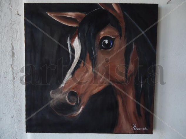 equino Oil Canvas Animals