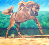 Caballo