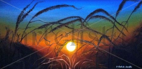 Crepusculo