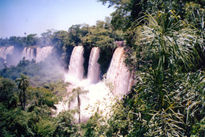 Iguazú entre selva