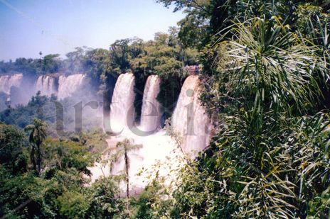 Iguazú entre selva