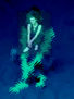 PAUSINIANO IMPRESSION II
