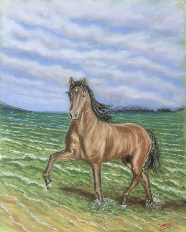 CABALLO EN LIBERTAD
