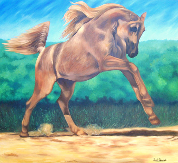 caballo Oil Canvas Animals