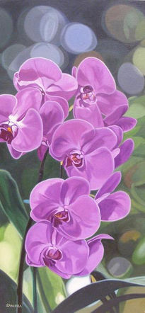 Orquidea violeta