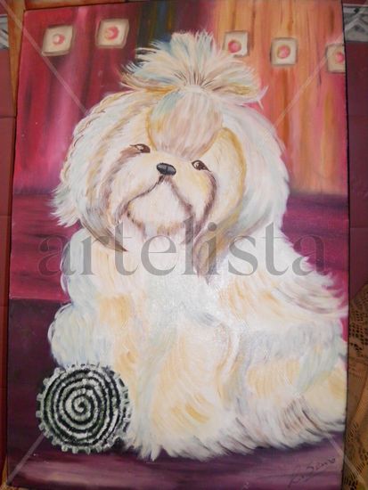 Perro Maltés Oil Canvas Animals