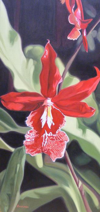 Orquidea roja