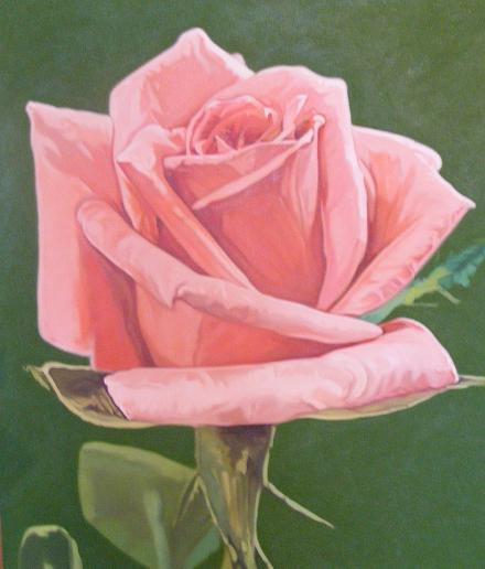 ROSA ROSADA Oil Canvas Floral Painting