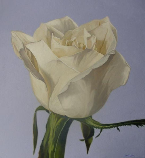 ROSA BLANCA Oil Canvas Floral Painting