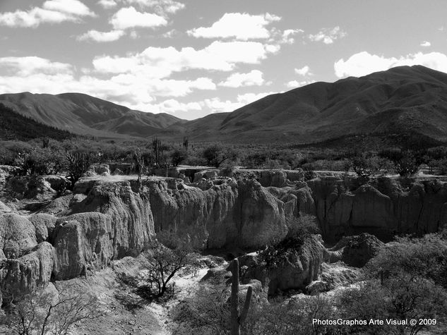 Valle de Zapotitlan de las Salinas, Puebla Naturaleza Blanco y Negro (Digital)