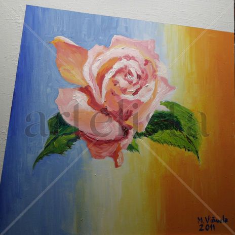 Rosa rosa