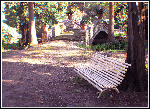 jardi monestir Sant Jeroni