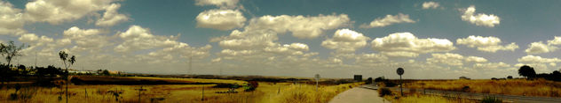panoramica universidad