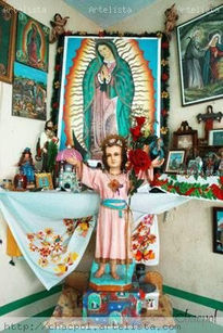 Guadalupe 064