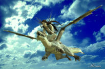 Dragon rider