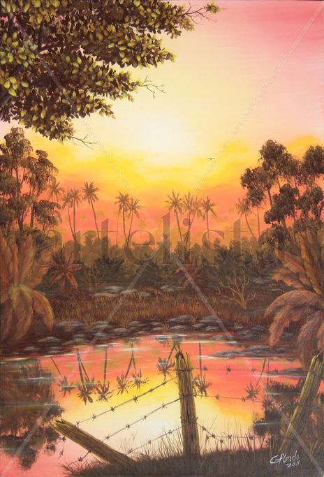 Ocaso del ave
