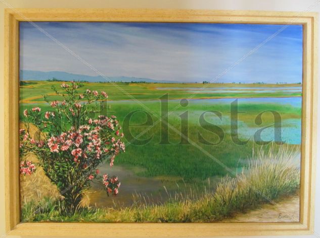 deltebre 1 Oil Canvas Landscaping