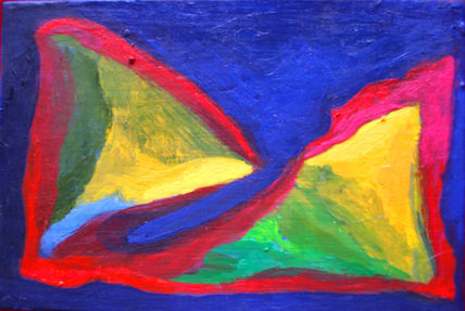 Aves del sur