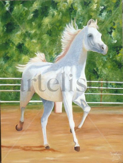 CABALLITO MIO Oil Canvas Animals