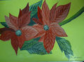 copias