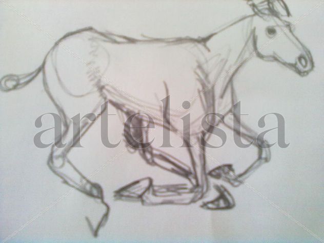 Bosquejo polo
