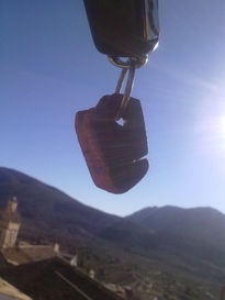 Sedalcas key ring...