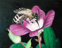 Abeja libando