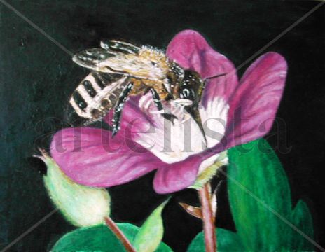 Abeja libando