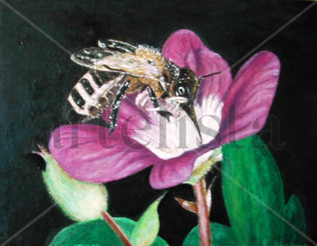 Abeja libando