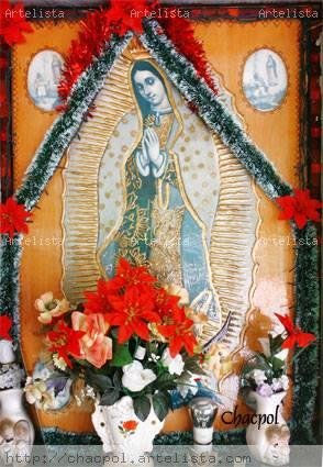 Guadalupe 061