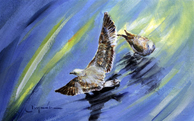 Gaviotas