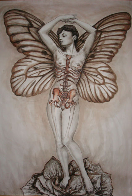 Metamorfosis
