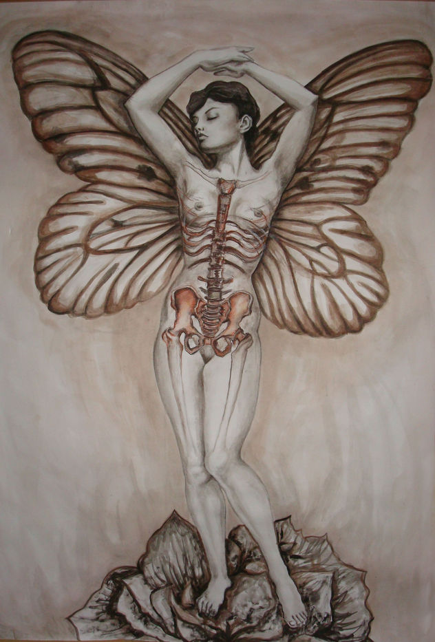 Metamorfosis