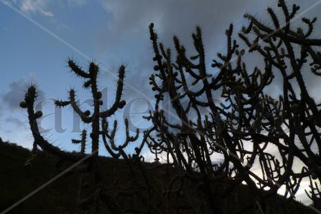 Llaves del cielo