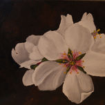 FLORES thumbnail 1