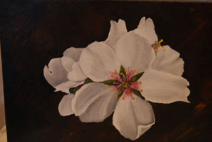 Flor