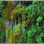 fotografias thumbnail 2