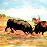 Toros thumbnail 1