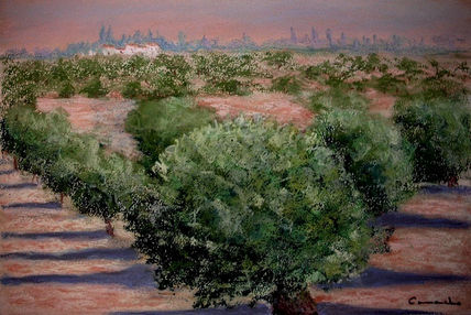 Olivos