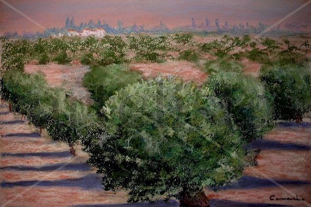 OLIVOS