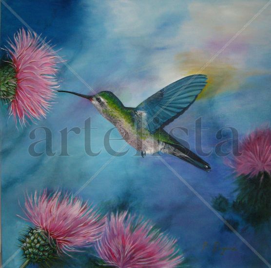 Colibrí 