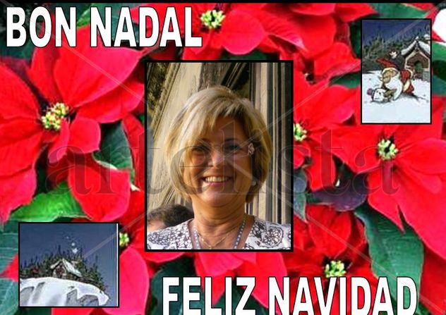 FELICES FIESTAS