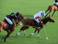 EL MEJOR POLO DEL MUNDO 2011 - 3