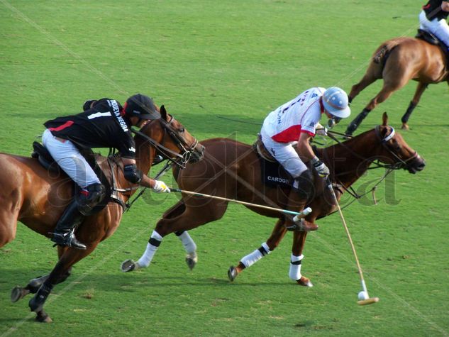 EL MEJOR POLO DEL MUNDO 2011 - 3 Deportiva Color (Digital)